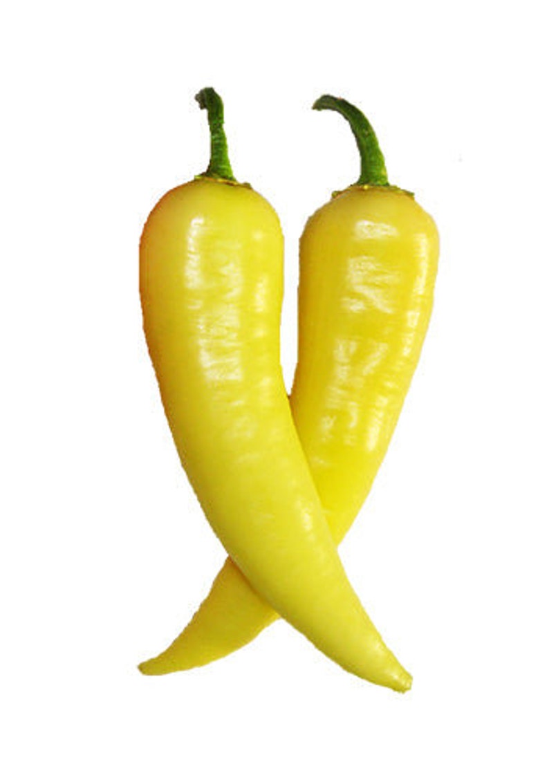 Sweet Banana Pepper Seeds - Sandia Seed Company