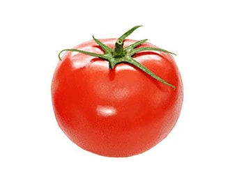 Semillas de tomate híbrido Bush Early Girl - Tolerante al calor - Alto rendimiento