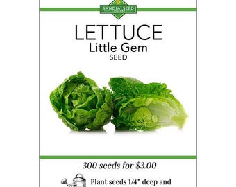 Lettuce - Little Gem Lettuce Seeds - Crunchy and Sweet - Ideal for Salads