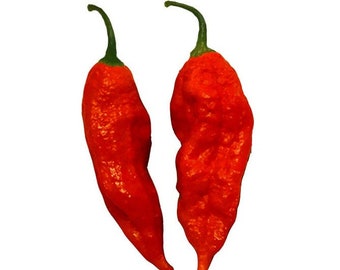 Bhut Jolokia Red Ghost Pepper Seeds