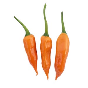 Aji Amarillo Seeds - Essential Peruvian Chile - Fruity Flavor
