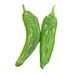 see more listings in the Hot Peppers section