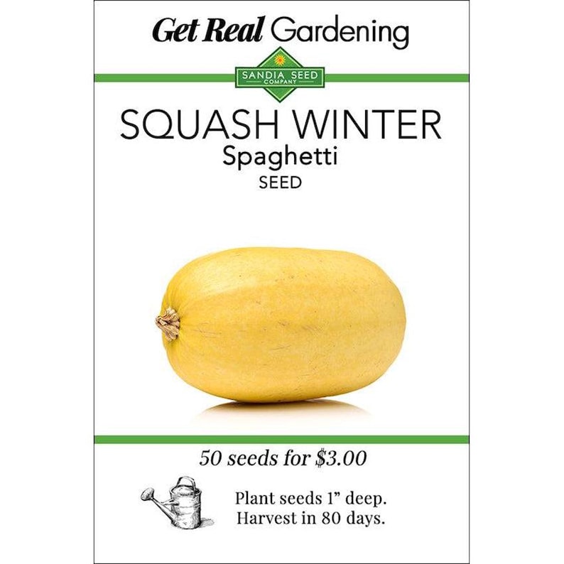 Sandia Seed Company Spaghetti Winter Squash Seeds - Thumbnail 2