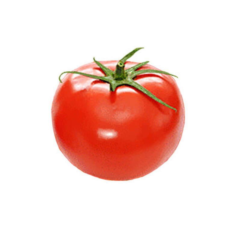 Tomato Bush Early Girl Hybrid Seeds Etsy