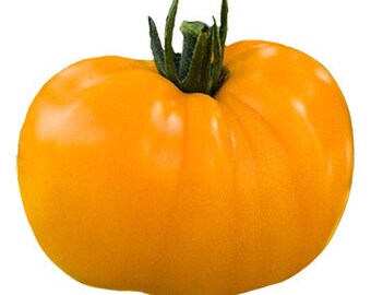Tomato - Golden Jubilee Seeds