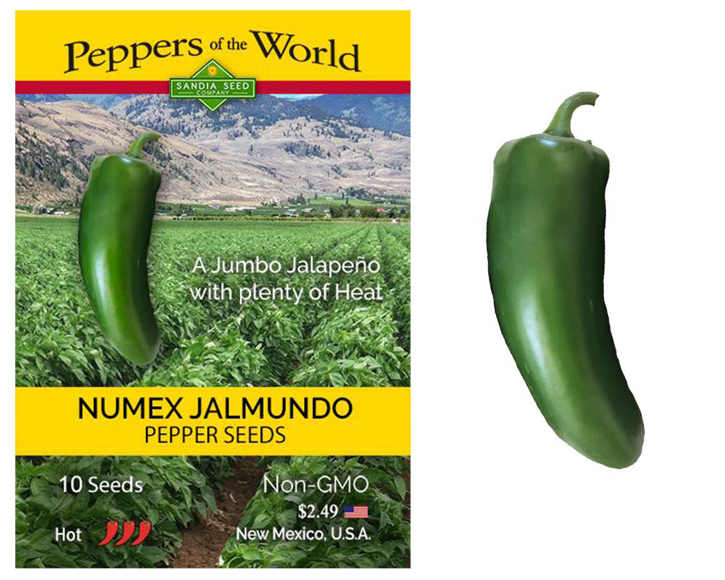 Jalapeño numex Jalmundo Hot Pepper Seeds Etsy UK