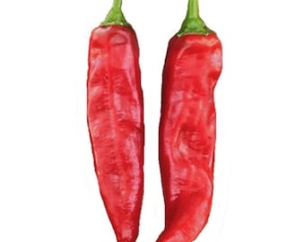 Paprika - Pepper Seeds