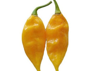 Fatalii Heirloom Pepper Seeds