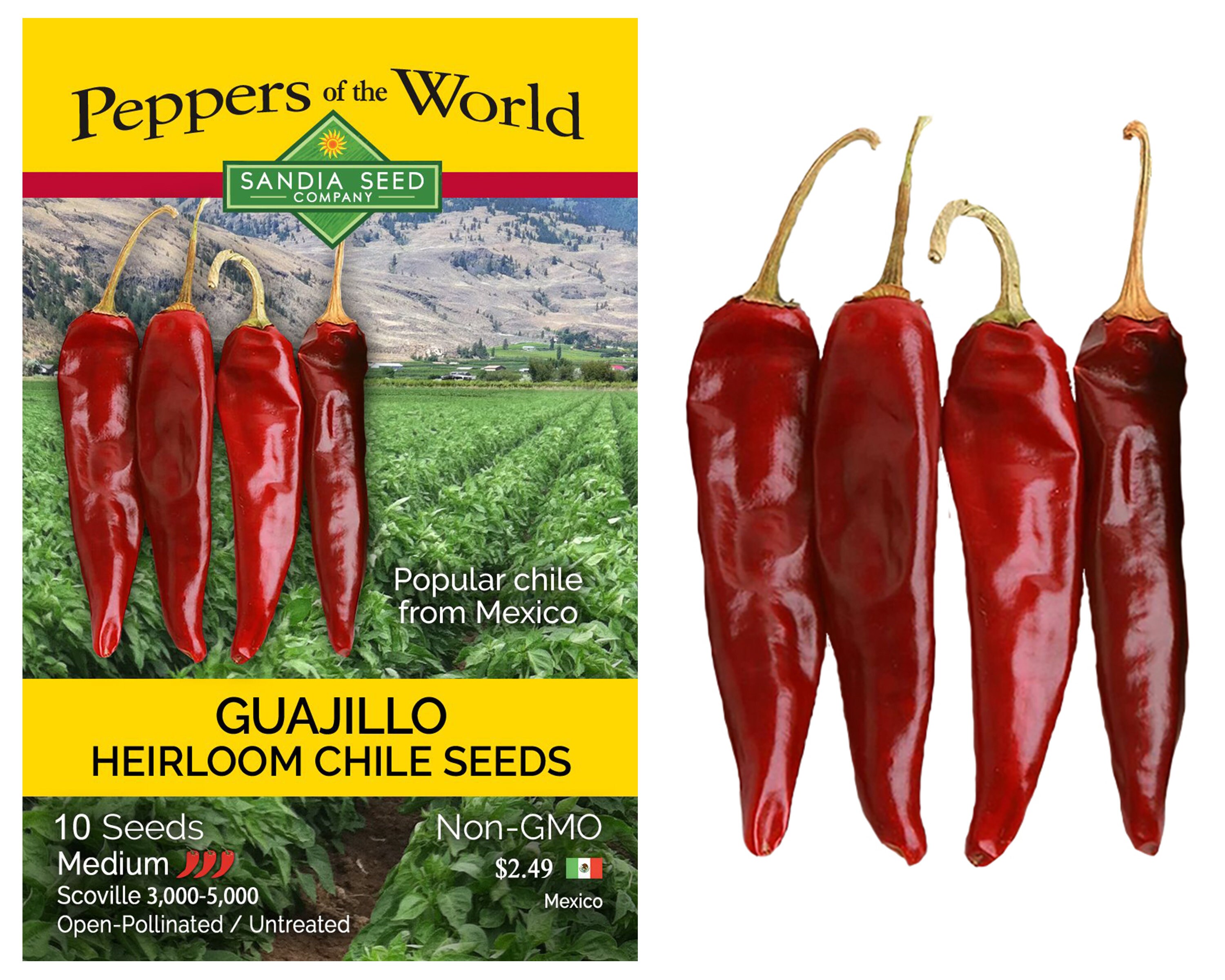 Guajillo Chile Pepper Seeds Etsy