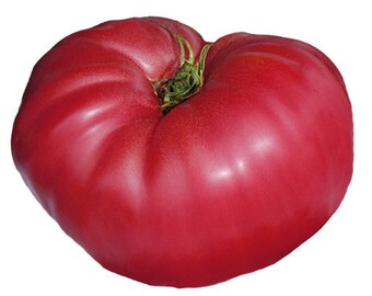 Tomato - Prudens Purple Seeds - On Sale