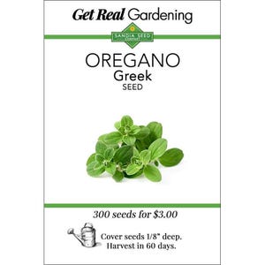 Oregano Greek Seeds - True Greek Oregano - Spicy Aromatic Herb