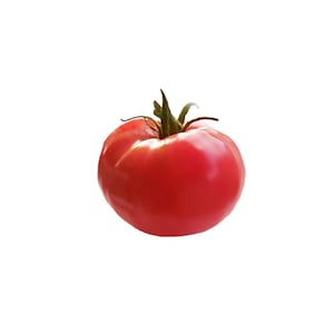 Tomato - Arkansas Traveler Heirloom Seeds