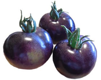 Tomato - Indigo Rose Heirloom Seeds