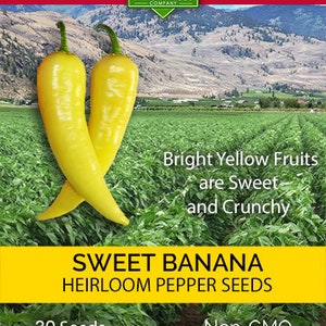 Sweet Banana Pepper Seeds - Sandia Seed Company