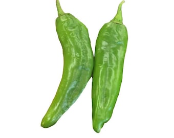 Hatch Green Mild - NM 6-4 Chile Seeds - Great Flavor with Gentle Heat