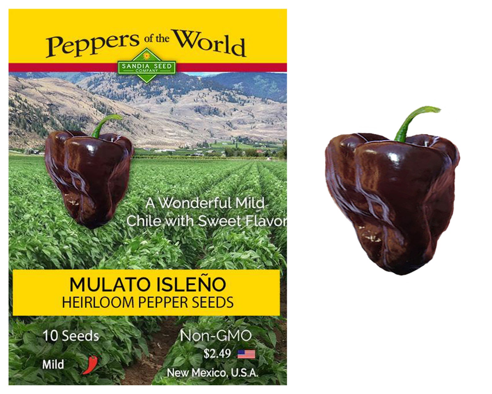 Mulato Isleño Heirloom Hot Pepper Seeds - Etsy