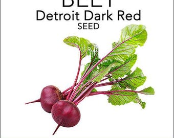 Beet - Detroit Dark Red Beet Seeds - Heirloom Beets - Easy Growing