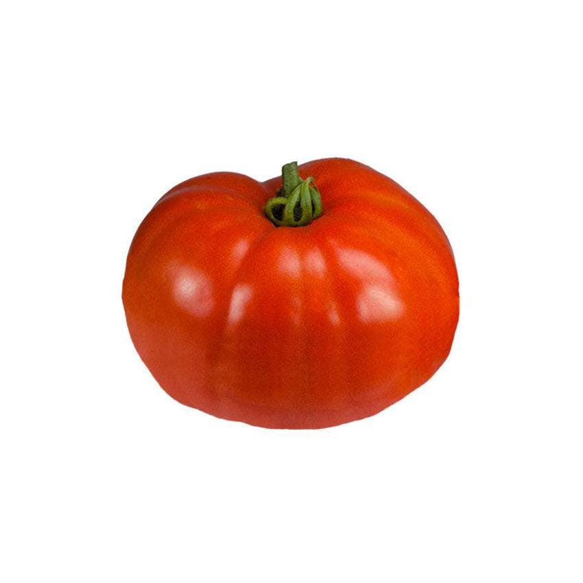 Beefmaster F1 Tomato Seeds - Big Flavor - Vigorous Disease Resistant - Etsy