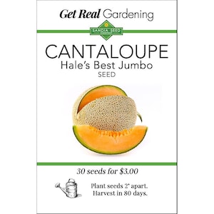 Cantaloupe - Hale's Best Jumbo Seeds - Cantaloupe Muskmelon - Sweet Flavor - ON SALE