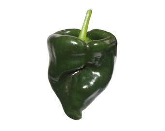 Poblano Pepper Seeds - Heirloom with Mild Heat for Stuffed Rellenos