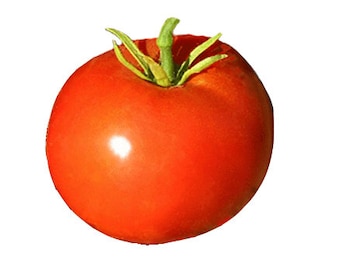 Tomato - Box Car Willie Heirloom Seeds