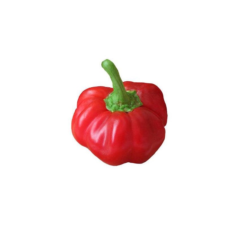 Sandia Seed Company Pimento Sheepnose Pepper Seeds - Thumbnail 2