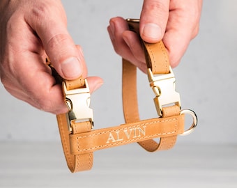 Personalized Leather Cat Harness, Adjustable Cat Harness with Name, Cat Harness and Leash, Kitten Harness, Travel Cat Harness