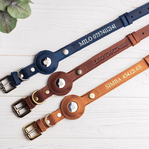 Personalisiertes AirTag-Hundehalsband aus Leder, AirTag-Hundehalsband, Halsband für kleine und große Hunde mit Airtag-Halter, personalisiertes Airtag-Hundehalsband