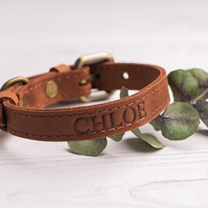 Personalized Cat Collar, Leather Cat Collar, Name Engraved Cat Collar, Customized Cat Collar, Soft Genuine Leather Cat Collar image 5