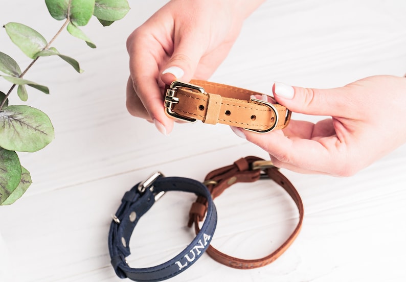 Personalized Cat Collar, Leather Cat Collar, Name Engraved Cat Collar, Customized Cat Collar, Soft Genuine Leather Cat Collar image 8