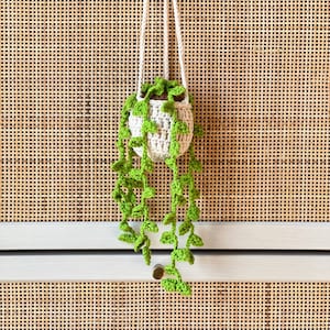 May include: A crocheted hanging planter with a green plant, hanging from a white cabinet with a woven cane panel.