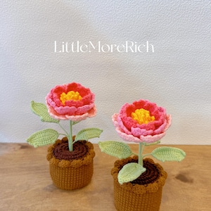 May include: Two handmade crochet flowers in brown pots. The flowers have pink and yellow petals, green leaves, and brown stems. The pots are brown with a scalloped edge. The text "LittleMoreRich" is in the background.