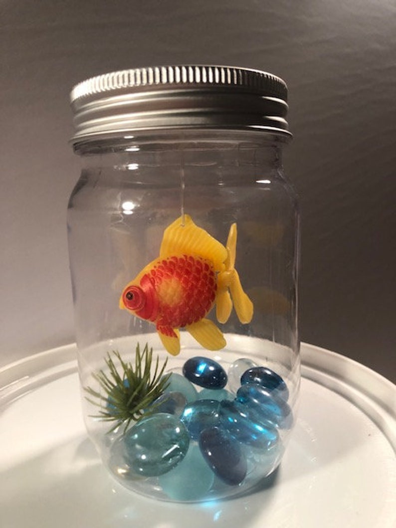 Goldfish Jar Etsy