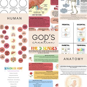 May include: Anatomy and human body diagram with labeled sections on the respiratory system, liver, bones, and senses. Includes illustrations of organs and body parts, and text describing their functions. Educational and informative.