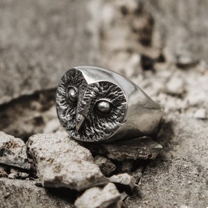 Barn owl ring 2025