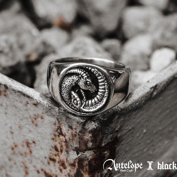 ISORROPIA Ring (in Collaboration with Antelope handcraft)