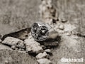OWL Ring (Handmade Gothic Ring • 925 Silver & Gold Animal Ring) product logo
