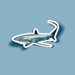 May include: A sticker of a blue shark with a white border. The shark has a long, curved tail and black fins. The background is a solid light blue.