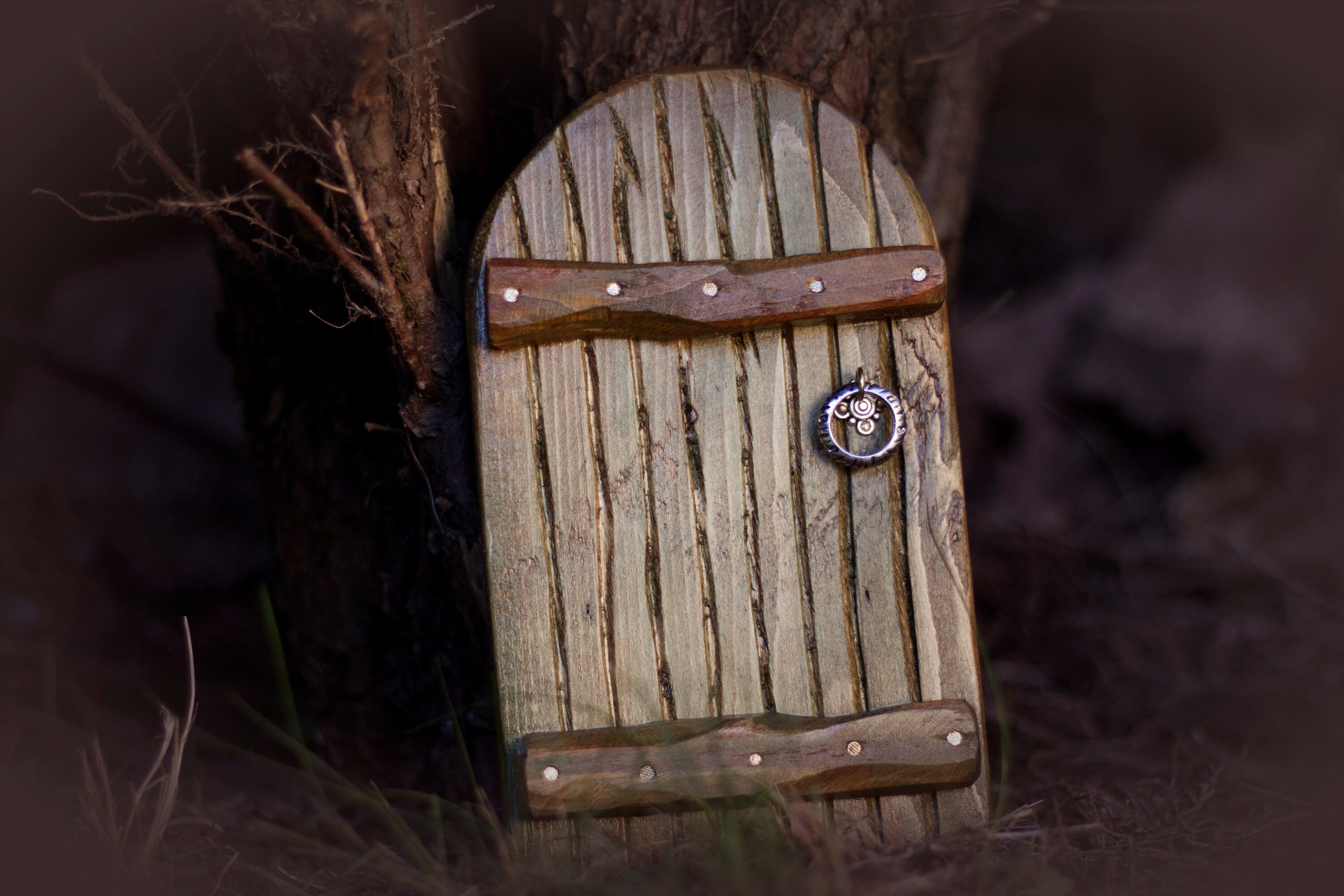 Wooden Fairy Door One Off Original Enchanted Door Garden Etsy