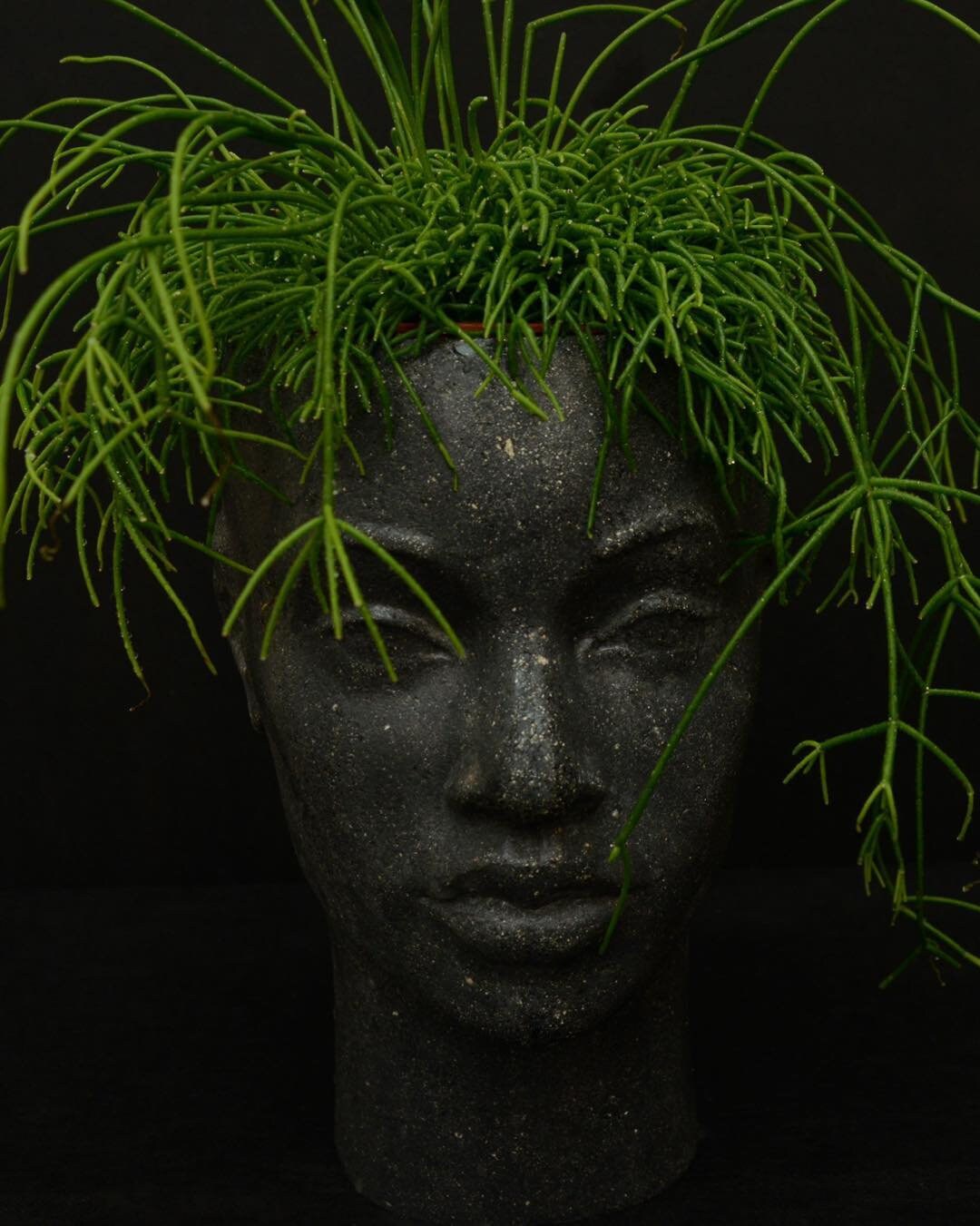 Woman Head Vase Lady Girl Statue Flower Pot Pottery Etsy