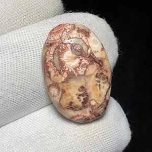 May include: An oval-shaped gemstone with a unique pattern of beige, brown, and reddish-brown hues. The stone's surface displays intricate, swirling designs, resembling natural formations. The polished gemstone is held against a white fabric background.
