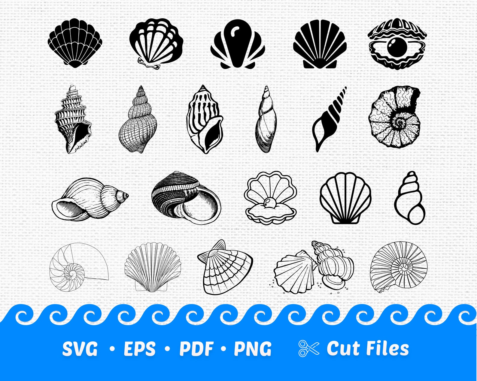 21 Seashell SVG Bundle Seashell Cut Files Sea Shell Svg Sea | Etsy