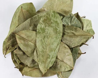 Soursop-Tee, Bio-Getrocknete Soursop-Blätter, Hojas de Guanabana, Frauentee, natürliche Kräutermischung