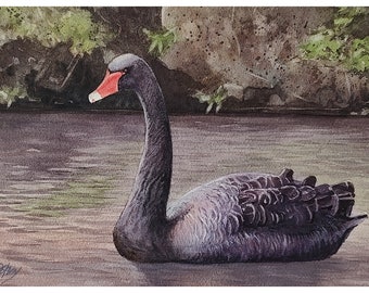 Black Swan, Watercolor Painting, Original Hand-Painted Art (11"x8"), Watercolor Art, Animal Painting, Bird Art, Animal Lover Gift