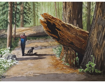 Redwood Hike, Watercolor Painting, Original Hand-Painted Art (12&quot;x9&quot;), Watercolor Art, Redwood Forest Painting, Landscape Watercolor