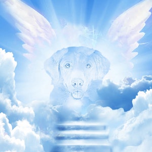 Angel Pet Portrait, Custom Dog Portrait, Digital Portrait, Angel Cat, Portrait from Photo, Pet loss Gift, Pet Memorial, Personalised Pet