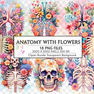 Watercolor Anatomy with flowers Pastel Color Clipart, Florals Human Organs PNG Transparent Designs, Human Lungs, Ribcage, Skeleton, Skull
