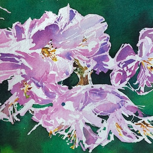 Print of Original Watercolour Card:Cherry Blossom, Print of Original Watercolour Greetings Card, Art Card, Cherry Blossom Flower Card