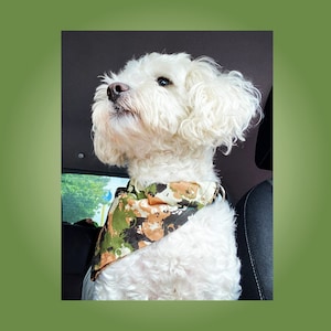 Dog Bandana