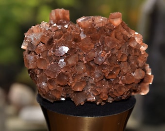 Aragonite Star Cluster, Crystal Stones from Morocco, High Grade A Quality Healing Crystals, Raw Aragonite Cluster Geode, Aragonite Specimen